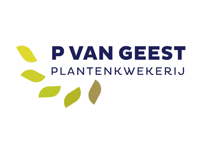 P Van Geest